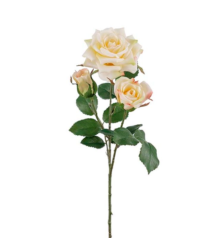 Rose 55 cm (gul)